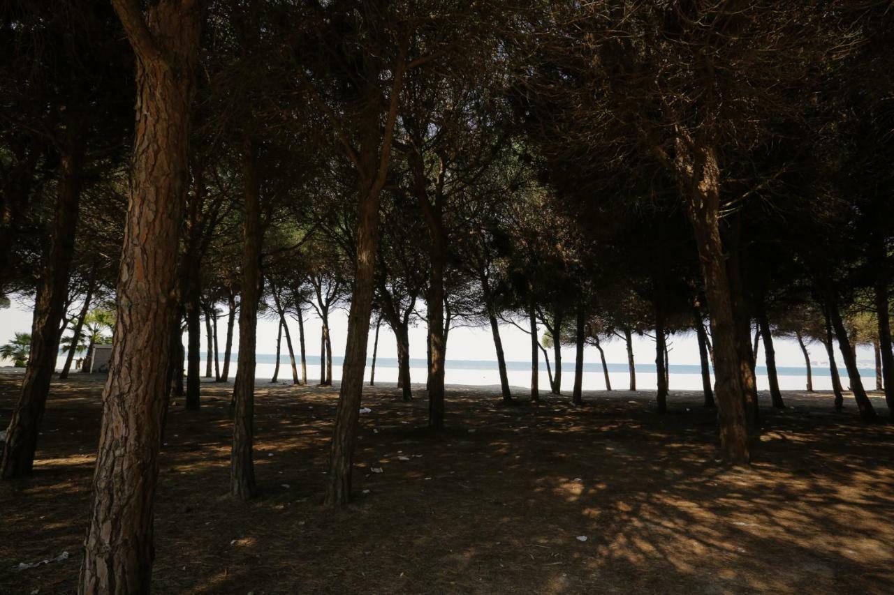 Pine-Tree Apt W/ Private Garden 50 M From The Sea Golem  Esterno foto