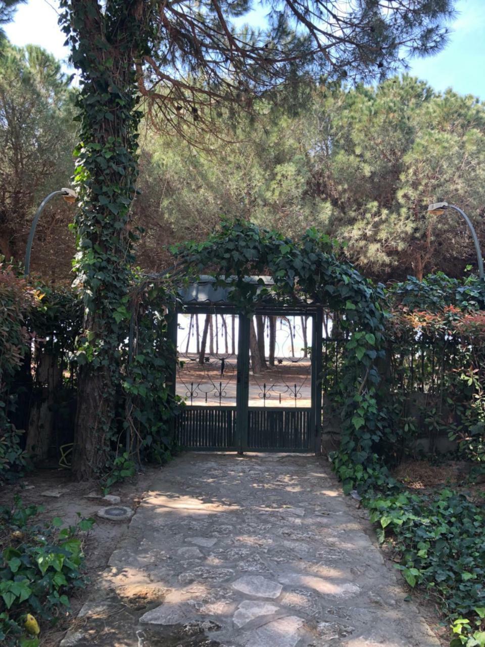 Pine-Tree Apt W/ Private Garden 50 M From The Sea Golem  Esterno foto