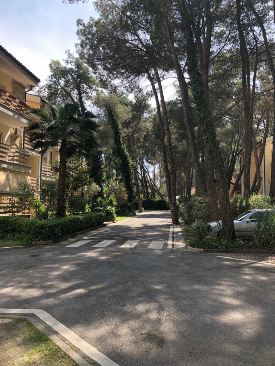 Pine-Tree Apt W/ Private Garden 50 M From The Sea Golem  Esterno foto