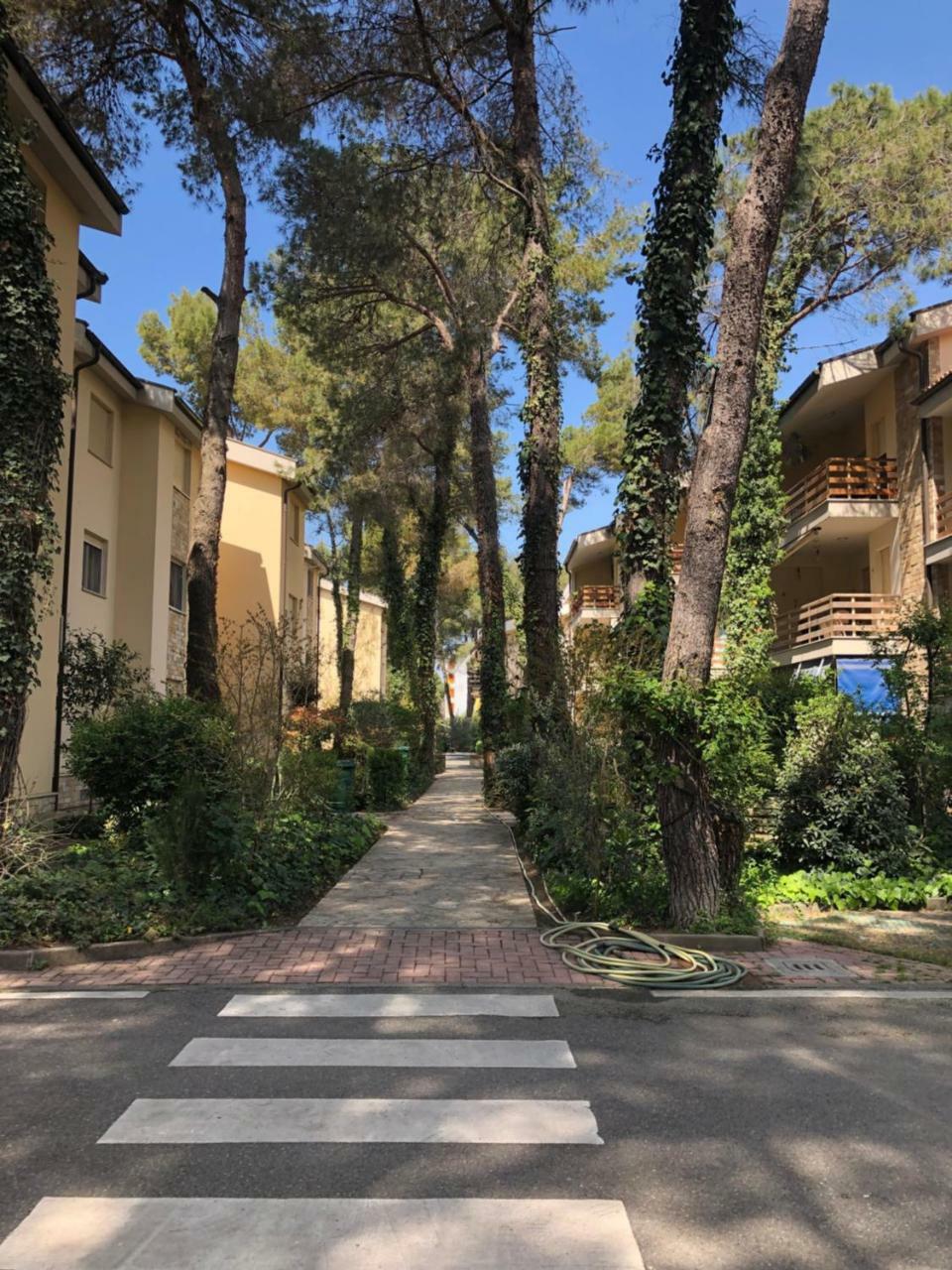 Pine-Tree Apt W/ Private Garden 50 M From The Sea Golem  Esterno foto