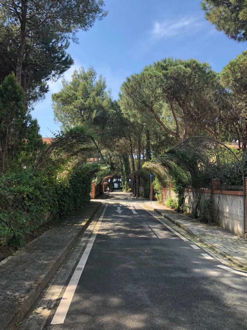 Pine-Tree Apt W/ Private Garden 50 M From The Sea Golem  Esterno foto